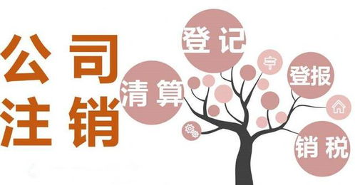 成都網(wǎng)絡(luò)文化經(jīng)營(yíng)許可證代辦 個(gè)體戶注冊(cè)辦理